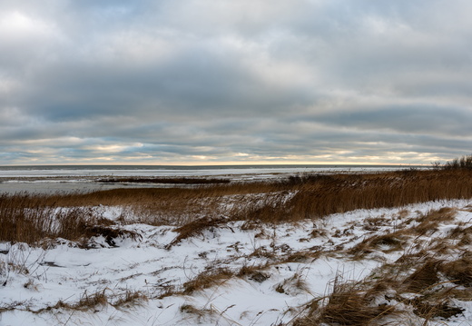 Vinter dag